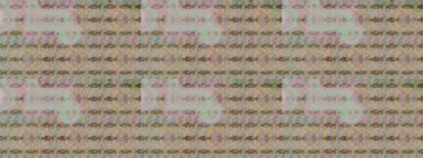 Desen, çizim, çiçek sınırı. Eski moda arka plan. Güzel, parlak, pürüzsüz kumaş, tuval. Raster illüstrasyonu. Kıvırcık, parlak örgü. Çiçeklerin çelengi.