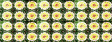 Raster illüstrasyonundaki çiçek desenli çizim. Suluboya tarzında yeşil renkte çiçekler.