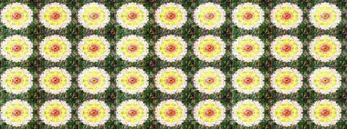 Yeşil yeşile. 1950-1960 motifleri. Retro tekstil tasarım koleksiyonu. El çizimi çiçek unsurları olan soyut çizim raster deseni. Çiçekli ipek eşarp..