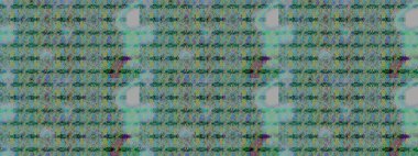 El çizimi Raster çizimi. Karalama elementleri. Çizim çiçek deseni duvar kağıdı, web sitesi arkaplanı, paket kağıdı, davetiye, broşür, pankart veya web sitesi için kullanılabilir.