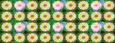 Raster illüstrasyonu. El çizimi. Çiçekler, dallar, bitkiler ve çiçekler. Güzel kumaş deseni.