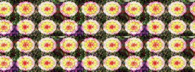 Soyut süper sevimli ve ilginç bir resim.