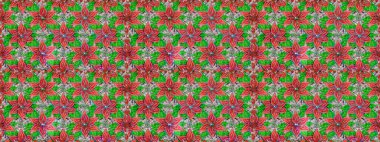 Raster Henna dövme stili. Kızılderili desenli desenli desenli şal deseni. Tekstil, tebrik kartı, boyama kitabı, telefon kılıfı baskısı için kullanılabilir. Etnik Mandala süsü.