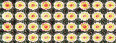 Raster illüstrasyonundaki çiçek desenli çizim. Raster illüstrasyonu. Güzel kumaş deseni. Tarafsız renklerde.