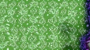 Renkli unsurlarla hareketli arka plan görüntüleri. Çiçekler. Eski model. Bayrak tarzı. Video kaydı. Şablon. Döngü. Kusursuz..