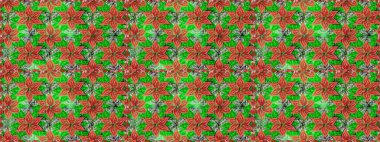 Düz Çiçek Elementleri Tasarımı. Raster Illustrasyon 'da moda olmayan çiçek deseni. Güzel kumaş deseni. Renkli Yaz Temalı Kusursuz Arkaplan.