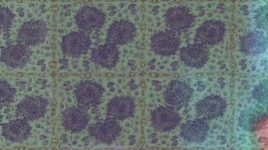 Renkli unsurlarla hareketli arka plan görüntüleri. Çiçekler. Eski model. Bayrak tarzı. Video kaydı. Şablon. Döngü. Kusursuz..