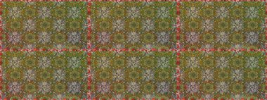 Raster illüstrasyonu. El çizimi. Çiçekli, yapraklı, çiçeksiz çiçek desenli..