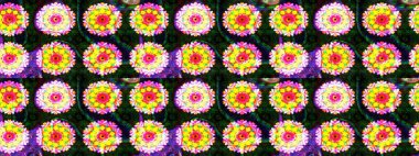 Küçük çiçekteki sevimli çiçek deseni. Sarı renkli çiçekler. Raster illüstrasyonu.