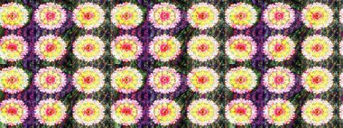 Tomurcukları papatya çiçekleri olan sevimli bir çiçek deseni. Eskiz geçmişi. Raster illüstrasyonu. Kumaş, tekstil, duvar kağıdı baskısı için. Eski usul. Miles Fleur, dandik süs.