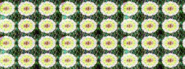 Arkaplan dokusu, duvar kağıdı, yeşil renkli çiçek teması. Soyut etnik raster çizim kalıbı. Kabile sanatı boho baskısı, klasik çiçek arkaplanı.
