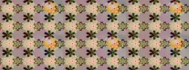 Raster suluboya çiçek deseni, narin çiçekler, bej çiçekler, tebrik kartı şablonu. Raster Güzel kumaş deseni.