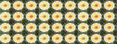 Çiçekli bahar çiçekleri. Motley illüstrasyonu. Moda baskıları için zarif bir şablon. Küçük renkli çiçekler. Küçük çiçekte şirin desenler.