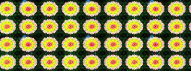 Çiçekli çizim şekli. Düz Çiçek Elementleri Tasarımı. Sarı renkli çiçekler. Renkli Bahar Teması çizim şablonu.