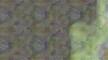 Renkli unsurlarla hareketli arka plan görüntüleri. Çiçekler. Eski model. Bayrak tarzı. Video kaydı. Şablon. Döngü. Kusursuz..