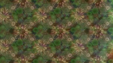 Renkli unsurlarla hareketli arka plan görüntüleri. Çiçekler. Eski model. Bayrak tarzı. Video kaydı. Şablon. Döngü. Kusursuz..