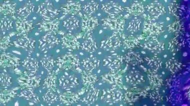 Renkli unsurlarla hareketli arka plan görüntüleri. Çiçekler. Eski model. Bayrak tarzı. Video kaydı. Şablon. Döngü. Kusursuz..