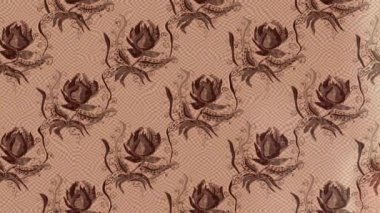 Renkli unsurlarla hareketli arka plan görüntüleri. Çiçekler. Eski model. Bayrak tarzı. Video kaydı. Şablon. Döngü. Kusursuz..