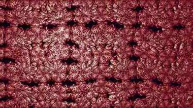 Renkli unsurlarla hareketli arka plan görüntüleri. Çiçekler. Eski model. Bayrak tarzı. Video kaydı. Şablon. Döngü. Kusursuz..