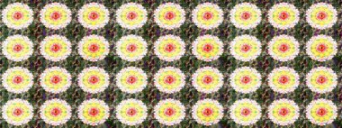 Raster illüstrasyonundaki çiçek desenli çizim. Tarafsız renklerde çiçekler.