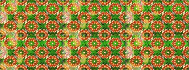 Düz elle çizilmiş klasik koleksiyon. Altın elementlerle yeşil renklerde altın desen. Raster altın pürüzsüz desen. Arkaplan, kumaş, altın duvar kağıdı.