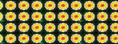 Güzel kumaş deseni. Raster illüstrasyonu. Çiçekler, dallar, bitkiler ve çiçekler. El çizimi.