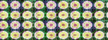 Raster illüstrasyonundaki çiçek desenli çizim. Yeşil renkte çiçekler.