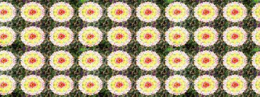 Çiçekli karalama şeklinde Raster çiçek deseni. Yumuşak, yeşil renkli yaz çiçekleri. Raster illüstrasyonu.