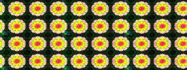 Güzel kumaş deseni. Raster illüstrasyonu. Çiçekler, dallar, bitkiler ve çiçekler. El çizimi.