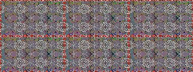 Kusursuz Vintage Çiçek Deseni. Raster Kalça dokusu deseni.