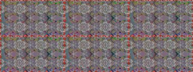 Kusursuz Vintage Çiçek Deseni. Raster Kalça dokusu deseni.
