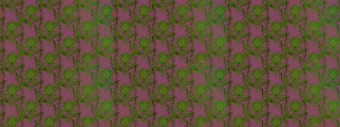 Çiçek kompozisyonu. Raster deseni. Çiçek arkaplan. - Yeşil çiçekler. Çiçek kolajı. Küçük çiçekte güzel bir desen var. Doğa.