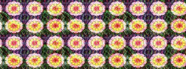 Robot resim. Moda baskıları için zarif bir şablon. Küçük çiçekte güzel bir desen. Çiçekli yaz çiçekleri. Küçük renkli çiçekler. Motley illüstrasyonu.