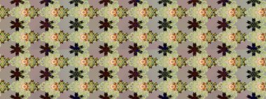 Eskiz arkaplan modeli. Yapraklı çiçekler ve kır renkli papatya çiçekleri. Raster - stok.