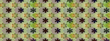 Gri renkli şirin tekstil tarzında. Renkli çizim kalıbı. Raster illüstrasyonu. Çiçek duvar kâğıdı. Çiçek arka planı.