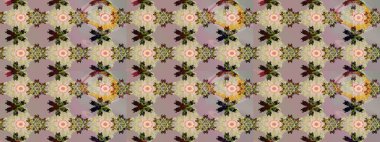 Eskiz Vintage Çiçek Deseni. Raster Kalça dokusu deseni.