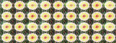 Güzel kumaş deseni. Güzel suluboya yaz çiçekleri deseni..