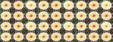 Çiçekler. Soyut etnik raster çizim kalıbı. Tarafsız renklerde vadinin çiçekleri.