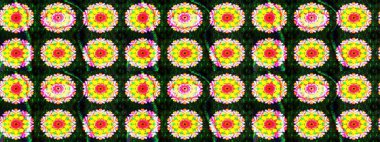 Kızılderili desenli desenli desenli şal deseni. Tekstil, tebrik kartı, boyama kitabı, telefon kılıfı baskısı için kullanılabilir. Etnik Mandala süsü. Raster Henna dövme stili.