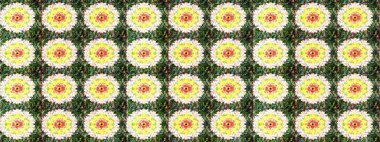 Renkli Bahar Teması eskiz kalıbı. Yeşil renkli çiçekler. Çiçekli çizim şekli. Düz Çiçek Elementleri Tasarımı.