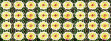 Sulu boya tarzında yeşil çiçekli zarif eskiz deseni, tasarım elementleri. Düzenlenebilir. Düğün davetiyeleri için çiçek deseni, tebrik kartları, hatıra defteri, baskı, hediye paketi, imalat.