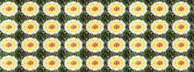 Renkli Bahar Teması eskiz kalıbı. Yeşil renkli çiçekler. Çiçekli çizim şekli. Düz Çiçek Elementleri Tasarımı.