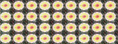 Nazik, sevimli çiçek arkaplanı. Tarafsız renklerde çiçekler. Raster çiçek desenli ve çiçekli..