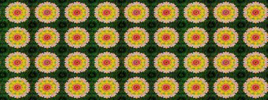 Yumuşak, yeşil renkli bahar çiçekleri. Yaprak ve çiçeklerin suluboya resimleri, yeşil renkte çizimler. Raster illüstrasyonu.