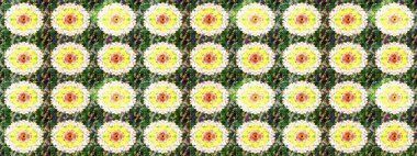 Üzerinde gelincikler ve vadi zambakları olan renkli çiçek desenli nakış deseni. Tekstil tasarımı için yeşil renkli geleneksel halk çiçekleri buketi.