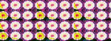 Kızılderili desenli desenli desenli şal deseni. Etnik Mandala süsü. Raster Henna dövme stili. Tekstil, tebrik kartı, boyama kitabı, telefon kılıfı baskısı için kullanılabilir.