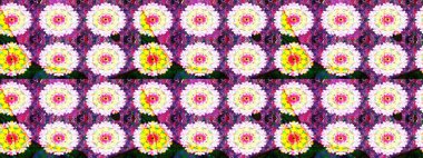 Kızılderili desenli desenli desenli şal deseni. Etnik Mandala süsü. Raster Henna dövme stili. Tekstil, tebrik kartı, boyama kitabı, telefon kılıfı baskısı için kullanılabilir.