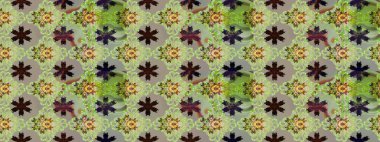 Çiçeksel nötr çizim kalıbı. Klasik taslak çizimi. Raster çiçek izi..