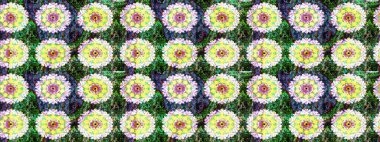 Çiçek desenli çizim. Düz Çiçek Elementleri Tasarımı. Yeşil renkli çiçekler. Raster illüstrasyonu. Asya tekstil tarzında. Renkli Bahar Teması çizim şablonu.