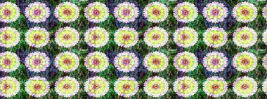 Çiçek desenli çizim. Düz Çiçek Elementleri Tasarımı. Yeşil renkli çiçekler. Raster illüstrasyonu. Asya tekstil tarzında. Renkli Bahar Teması çizim şablonu.